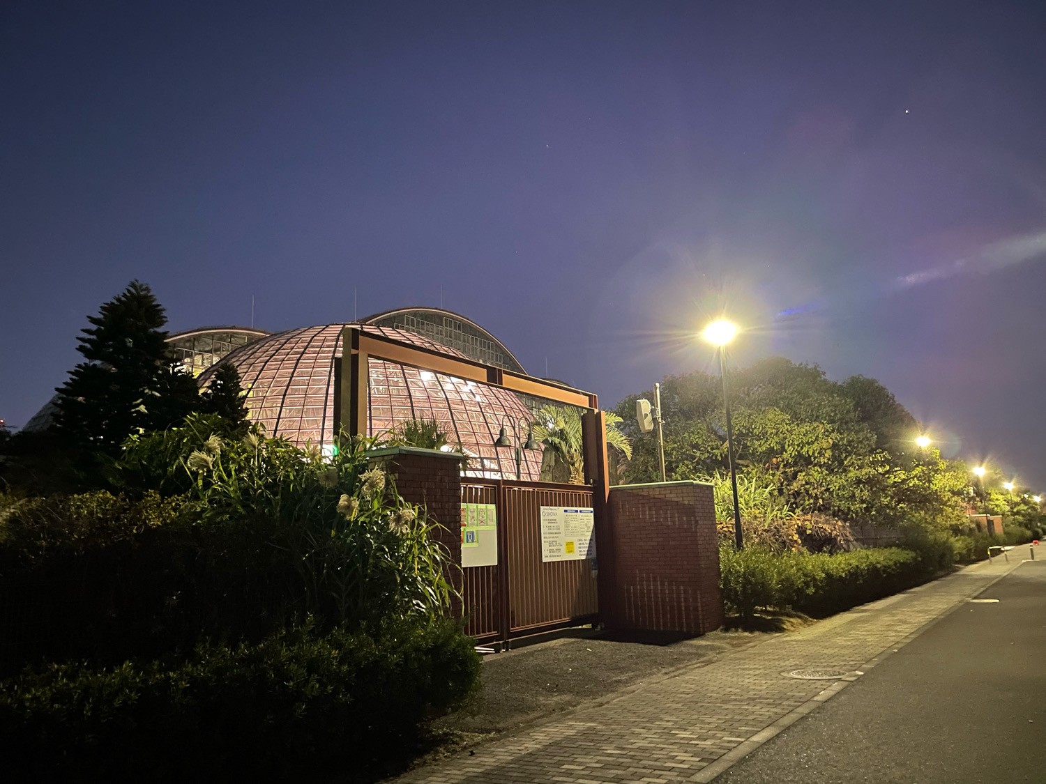 夢の島熱帯植物館