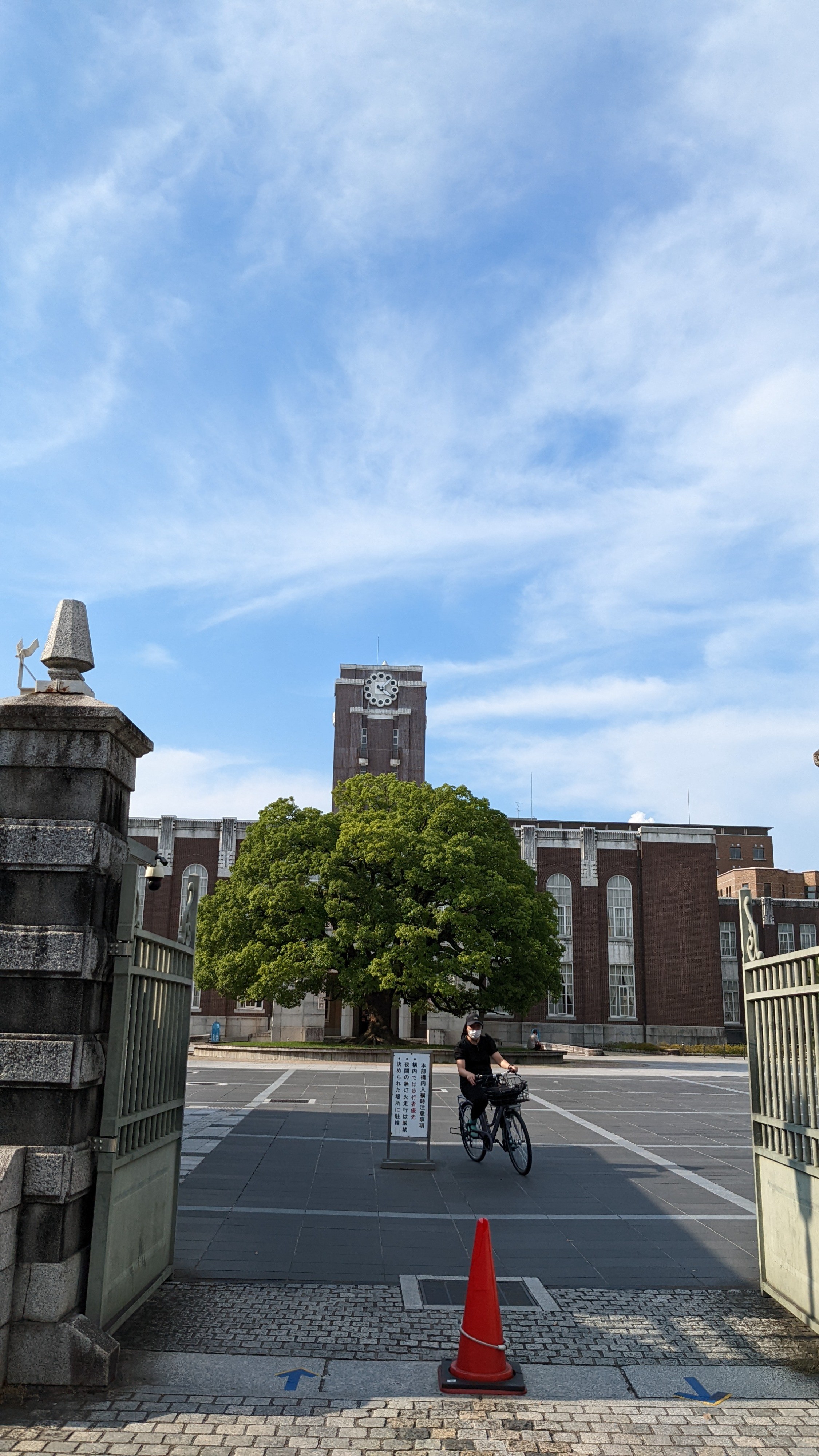 京都大学