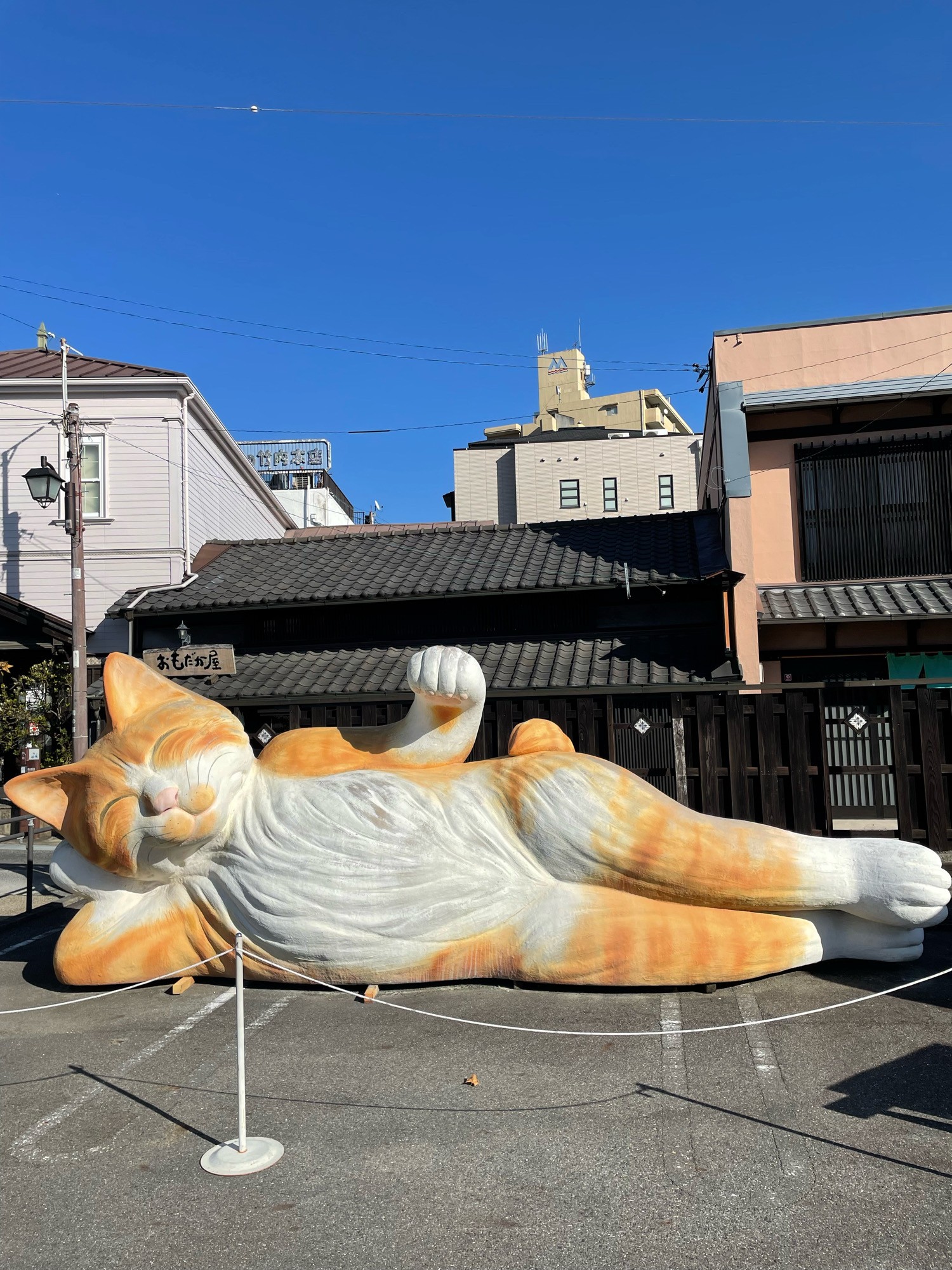 招き猫ミュージアム