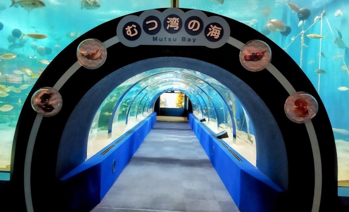 青森県営浅虫水族館