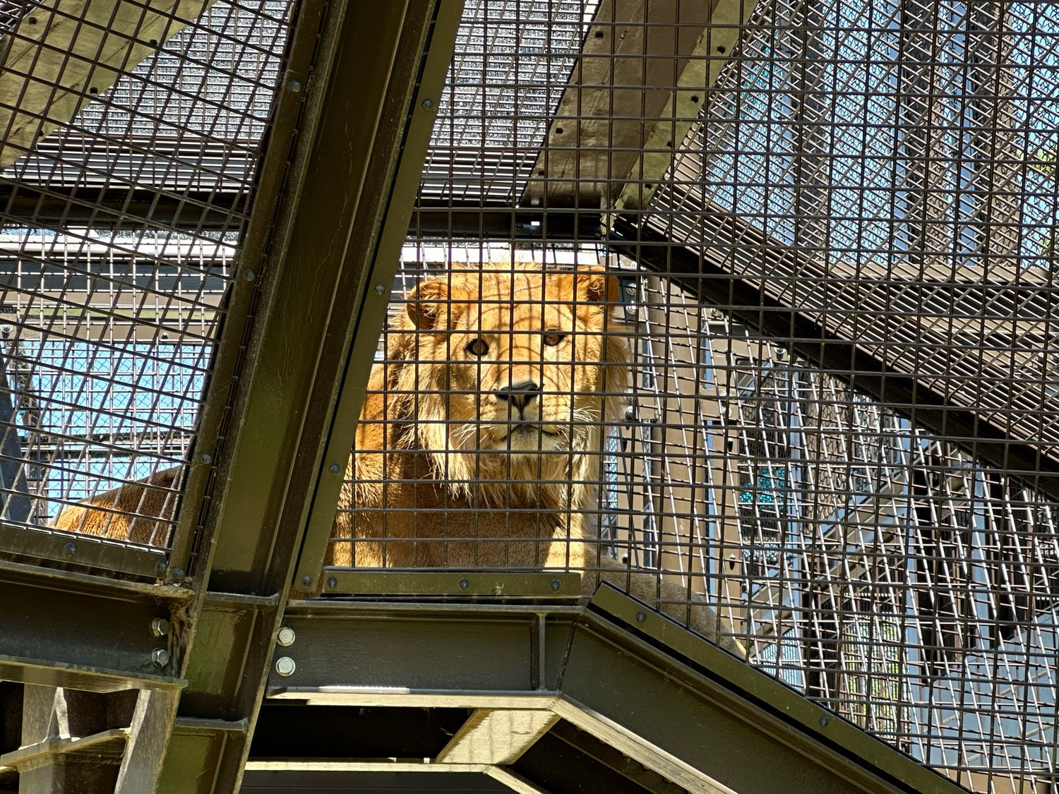 豊橋総合動植物公園