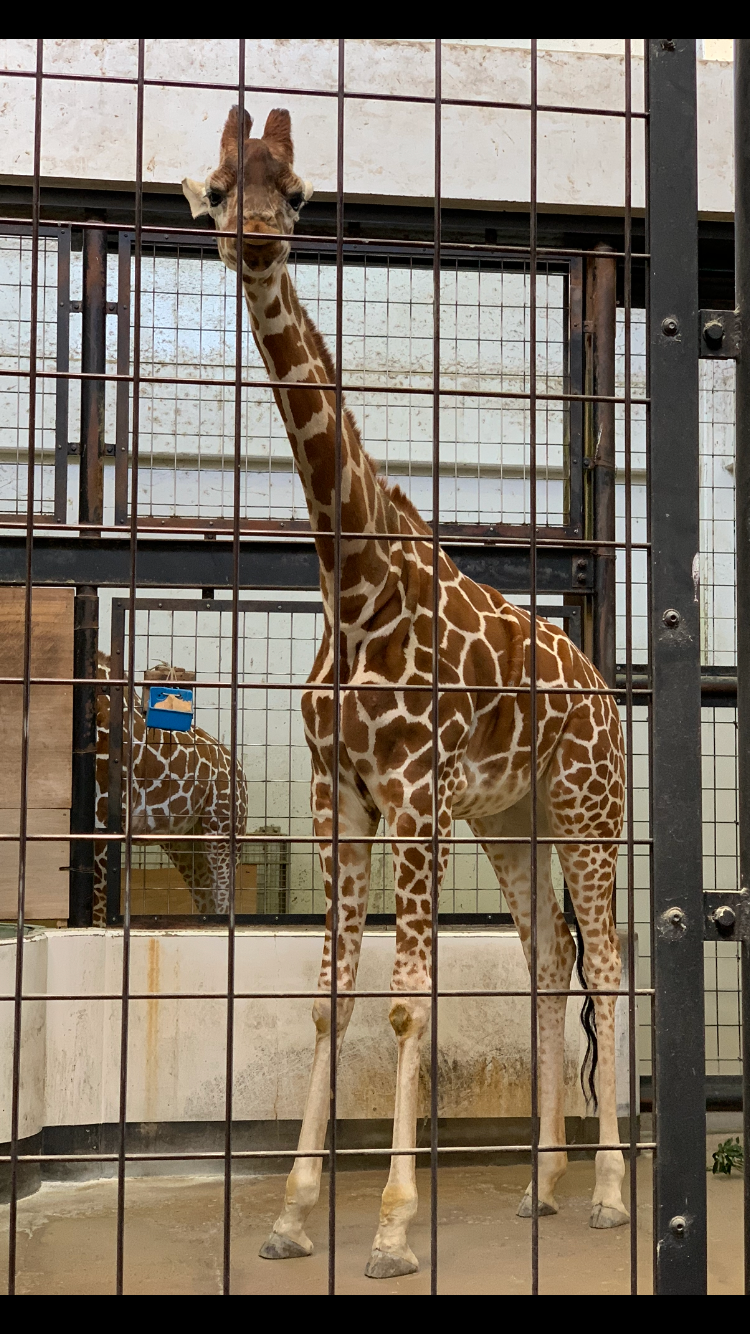 いしかわ動物園