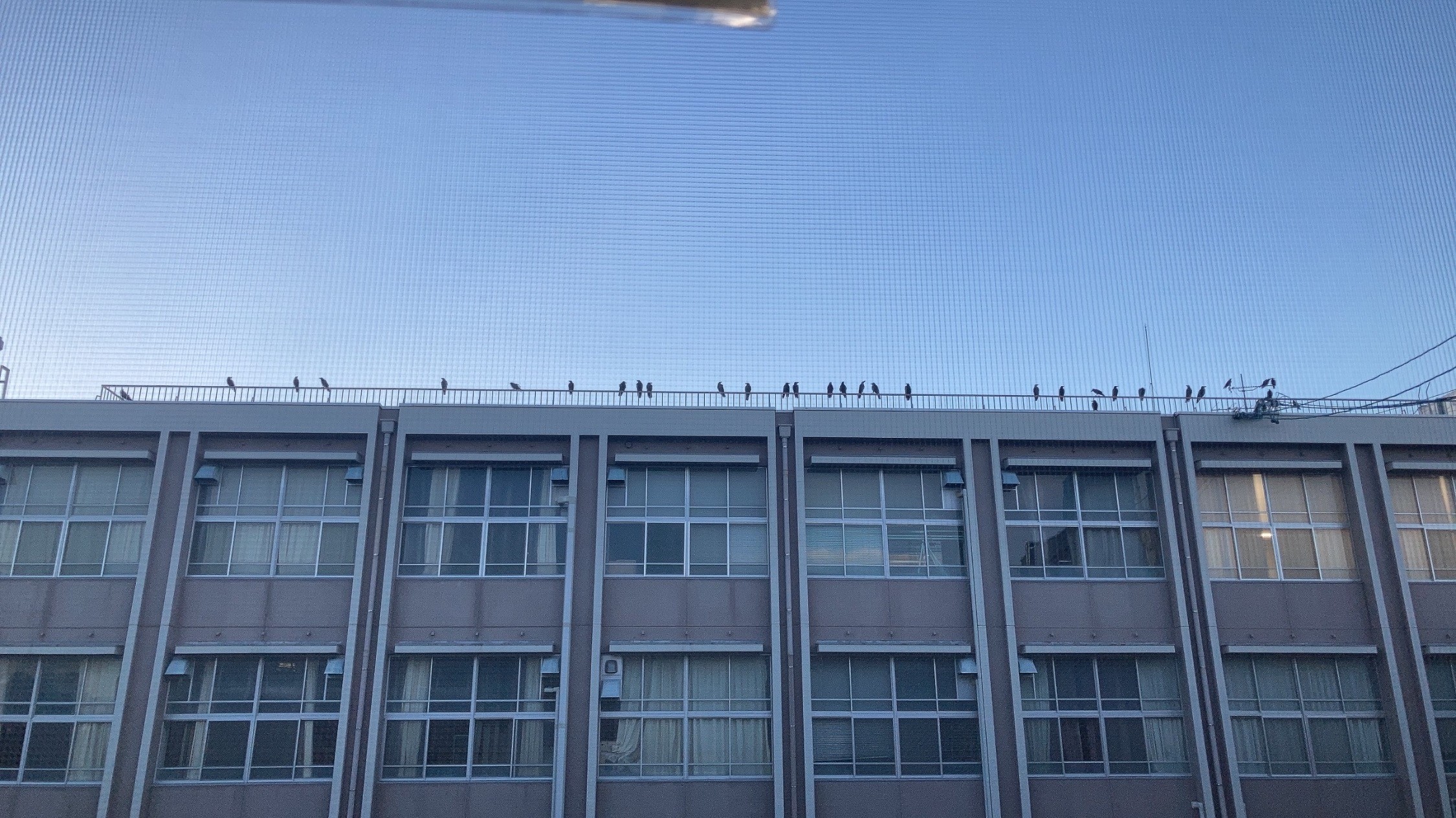 三重県立津西高等学校