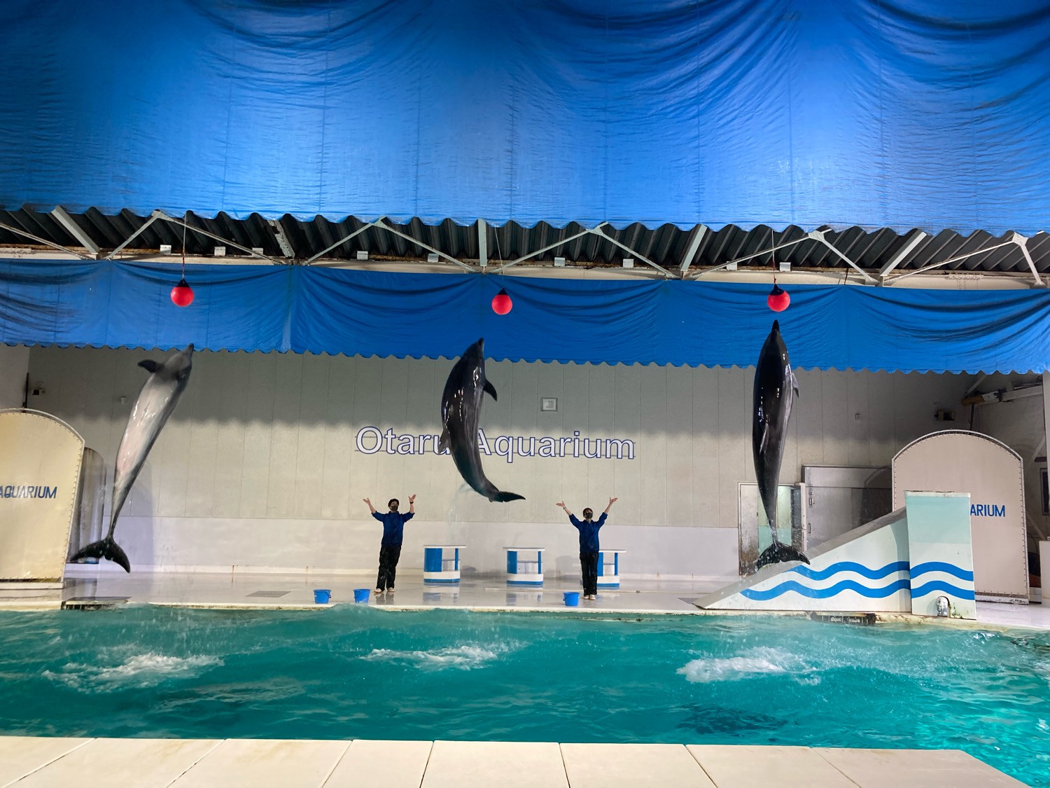 おたる水族館