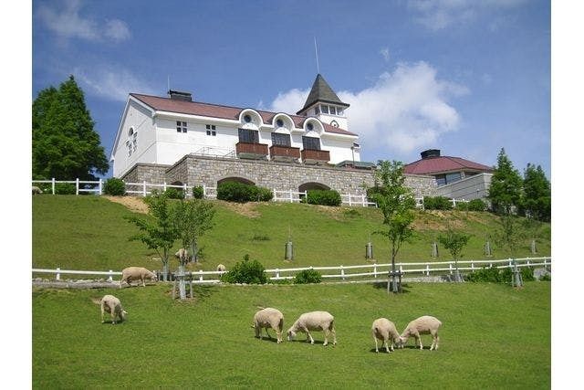 神戸市立六甲山牧場