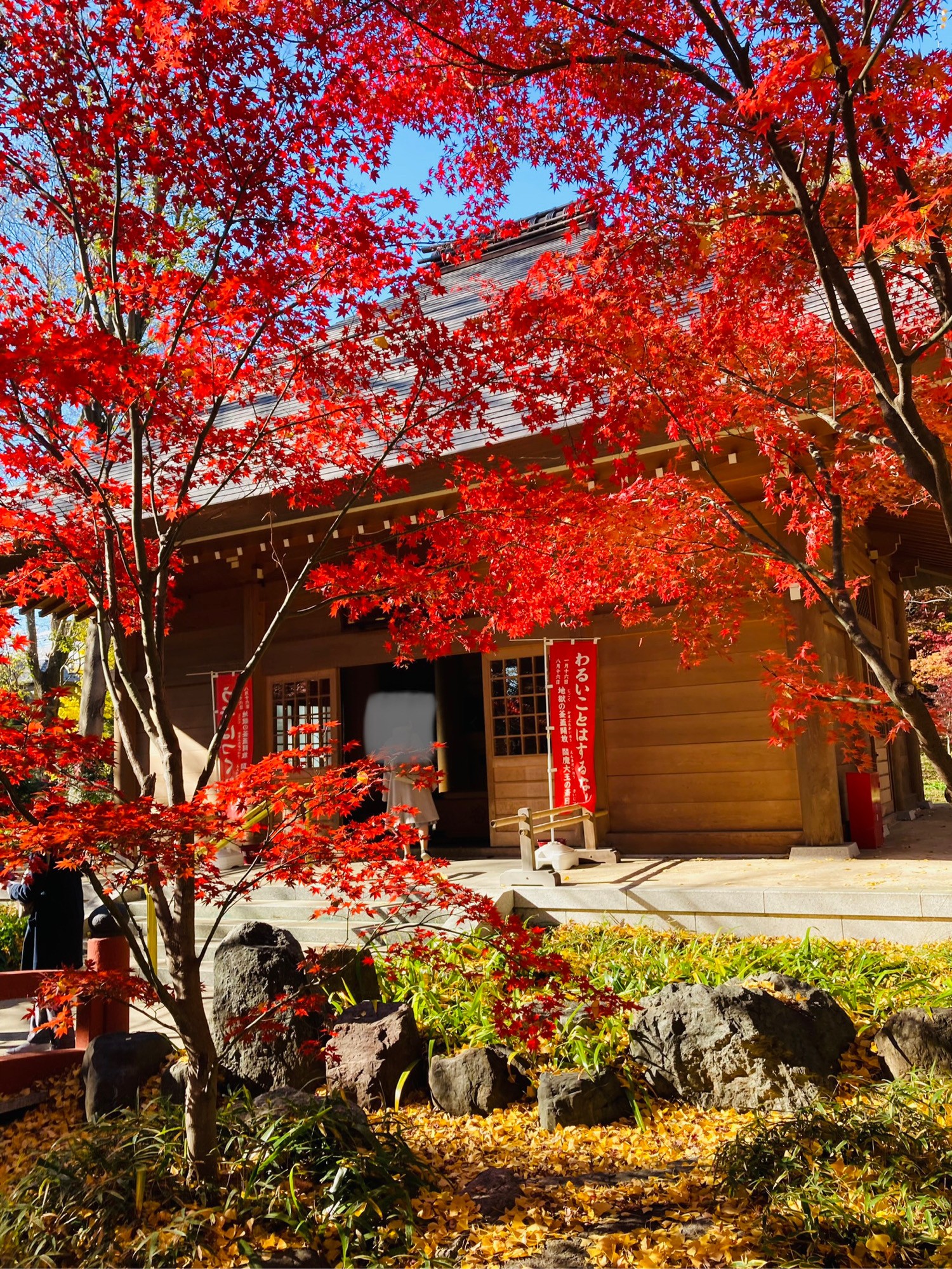 九品仏浄真寺