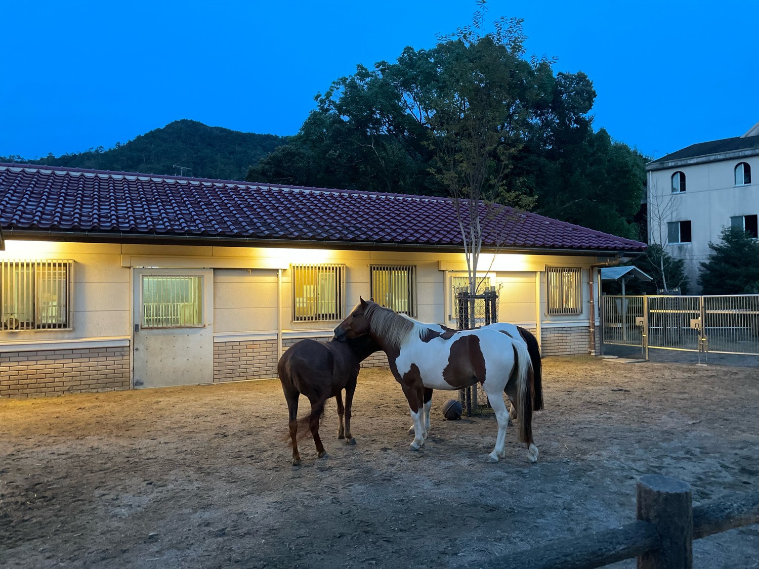 広島市安佐動物公園